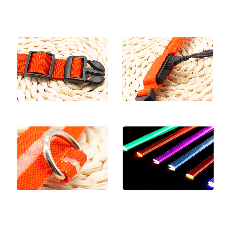 Colar de Led para Pets - BrasilShopping