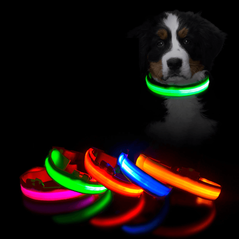 Colar de Led para Pets - BrasilShopping