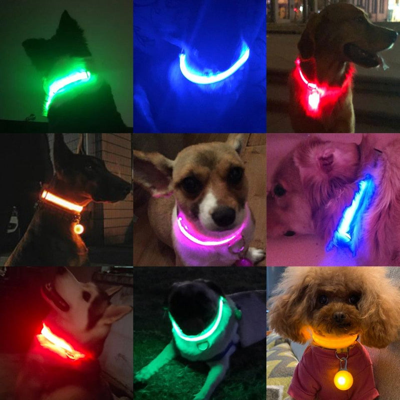 Colar de Led para Pets - BrasilShopping